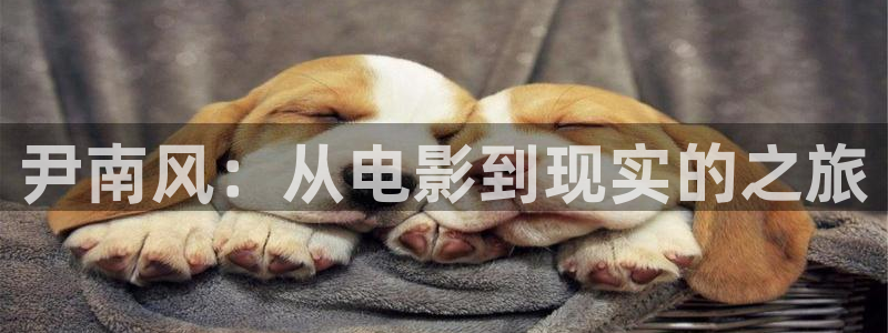 久久人人爽人人爽人人片av超碰：尹南风：从电影到现实的之旅