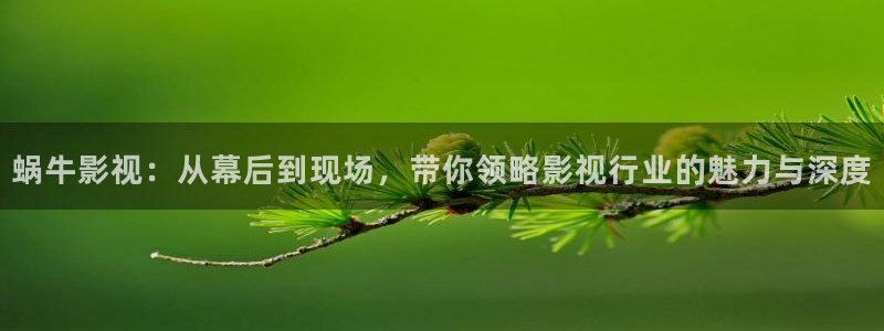 人人福利影院：蜗牛影视：从幕后到现场，带你领略影视行业的魅力与深度