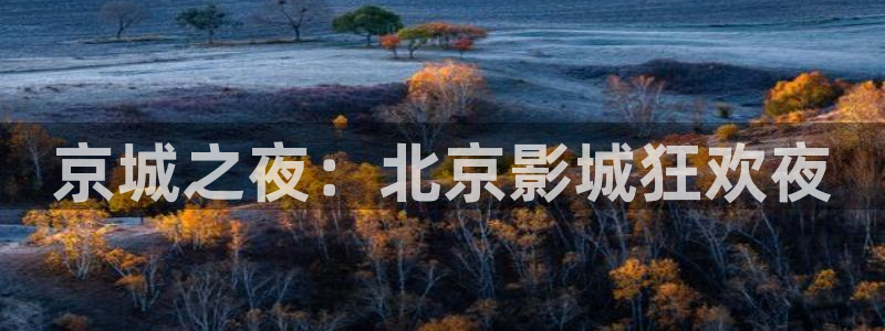 久久精品人人做人人爽电影