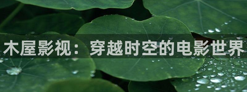 人人草视频黄：木屋影视：穿越时空的电影世界